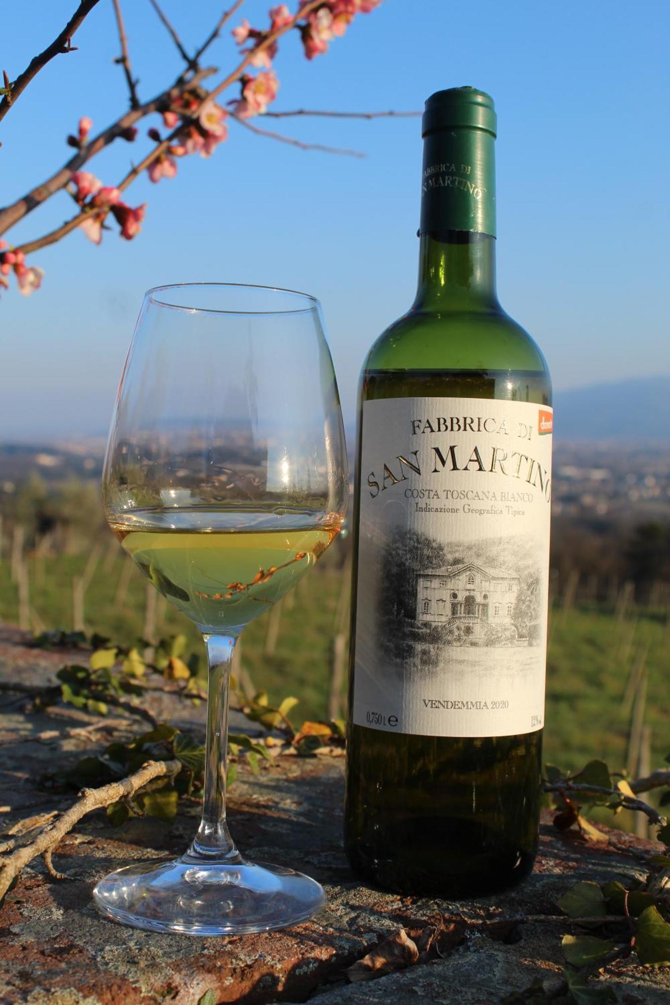 Azienda Agricola Fabbrica Di San Martino Lucca Ngoại thất bức ảnh